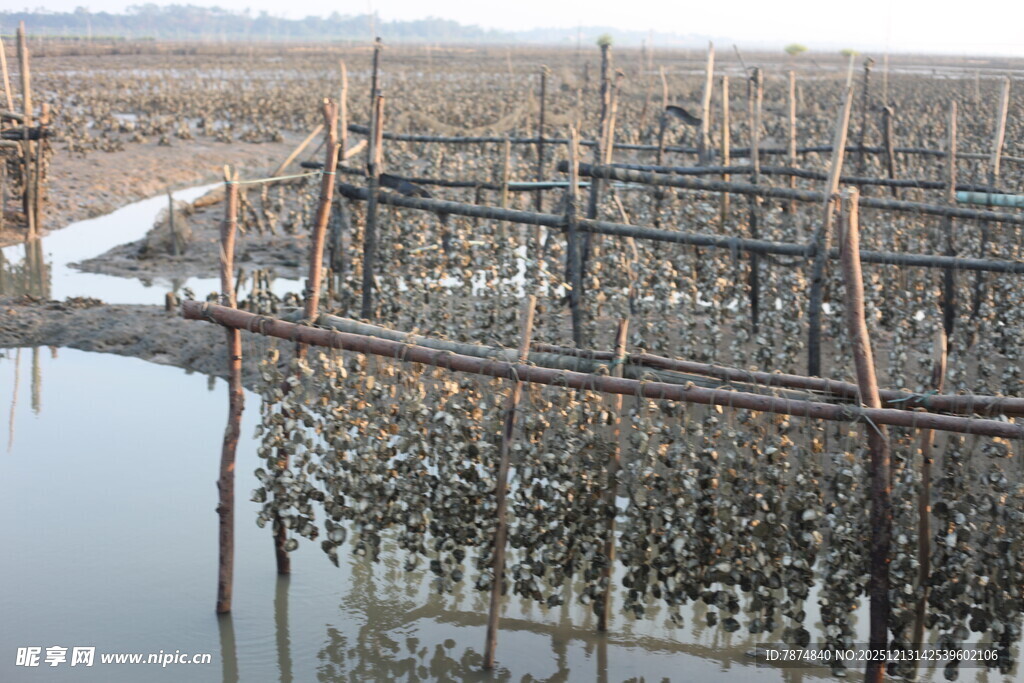 水上养殖设施场景