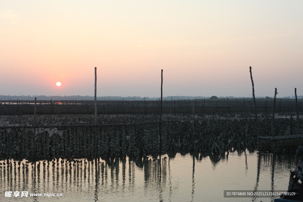 夕阳下的水上养殖场景