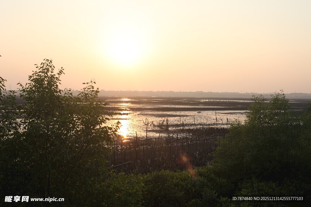 夕阳下的河畔风光