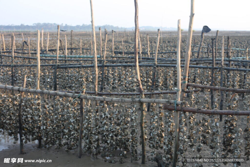 海上养殖场景