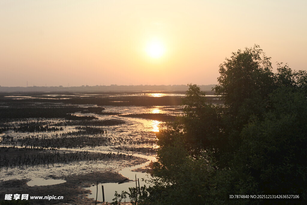 夕阳下的湿地风光