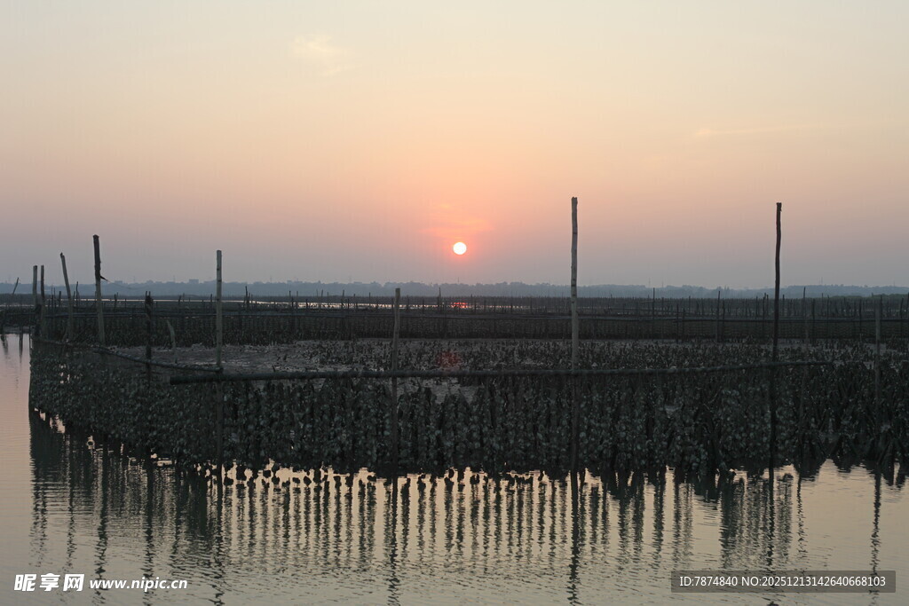 夕阳下的水上养殖场景