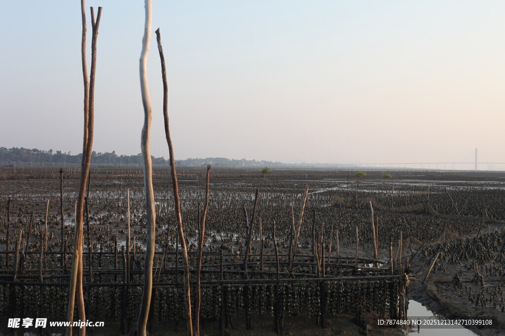 滩涂养殖场景