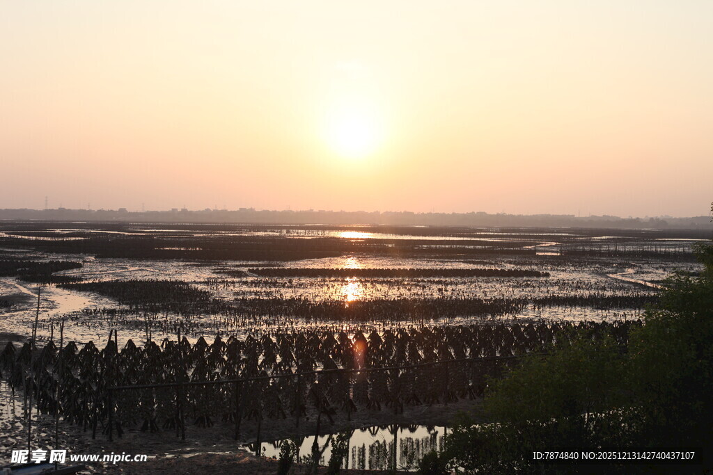 夕阳下的滩涂养殖景观