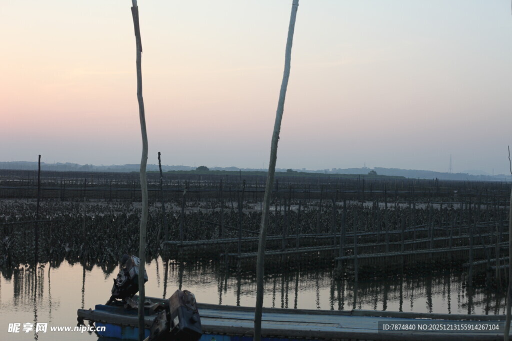 黄昏下的水上养殖场景