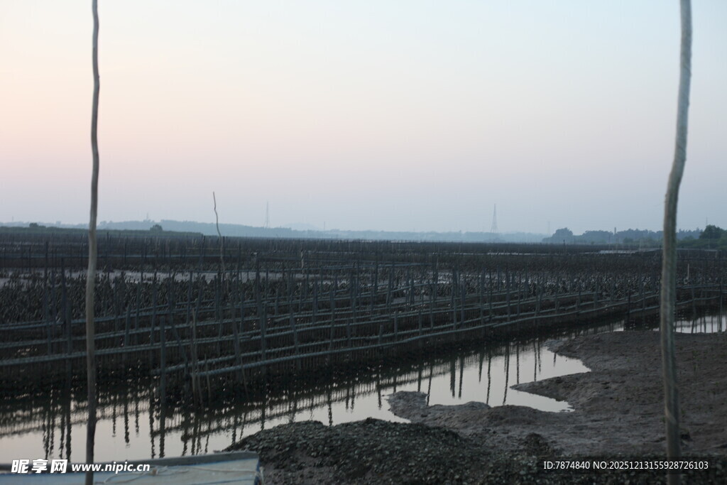 夕阳下的水上养殖场景
