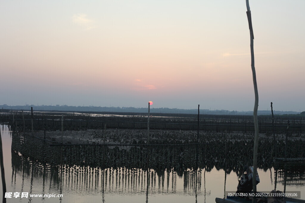 夕阳下的水上养殖场景