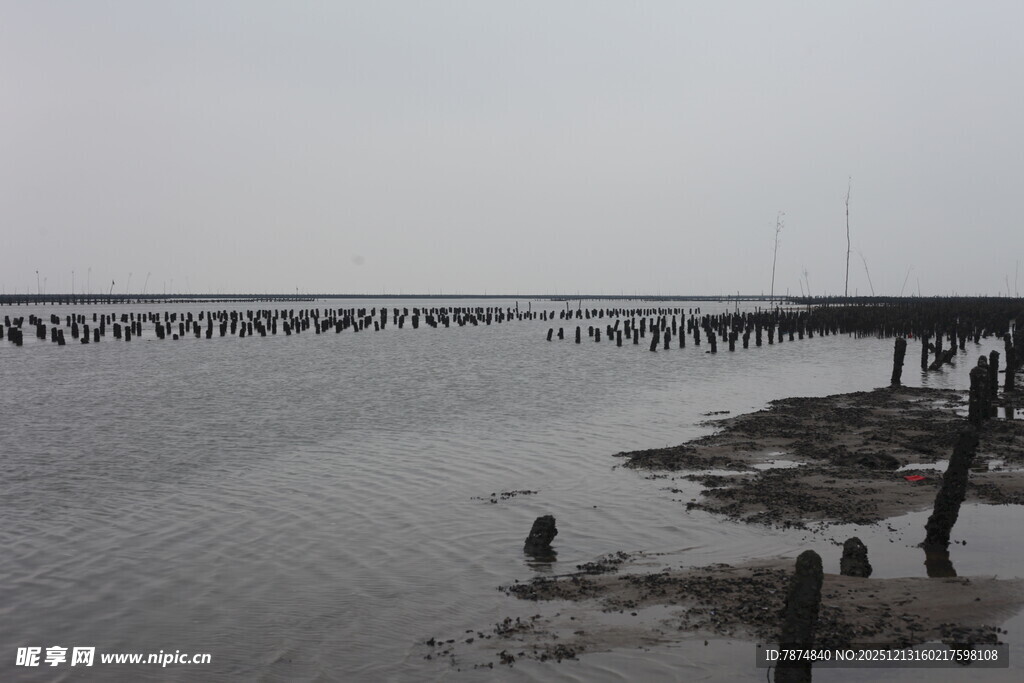 海边滩涂景象