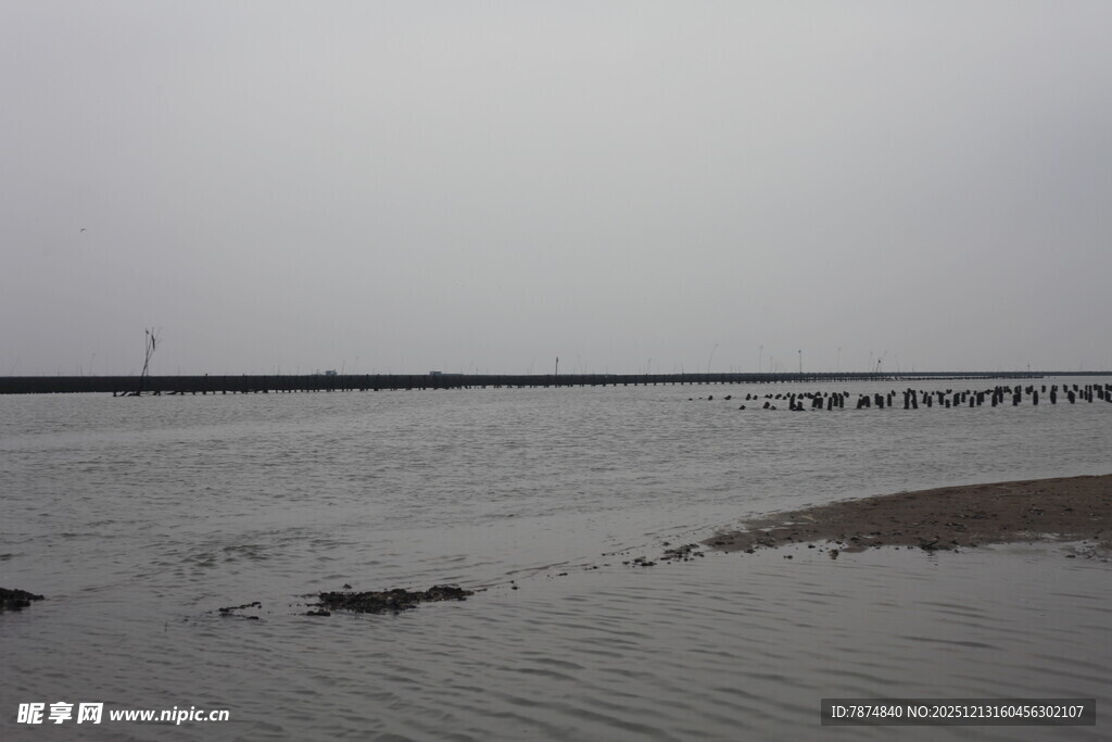 海边滩涂景象