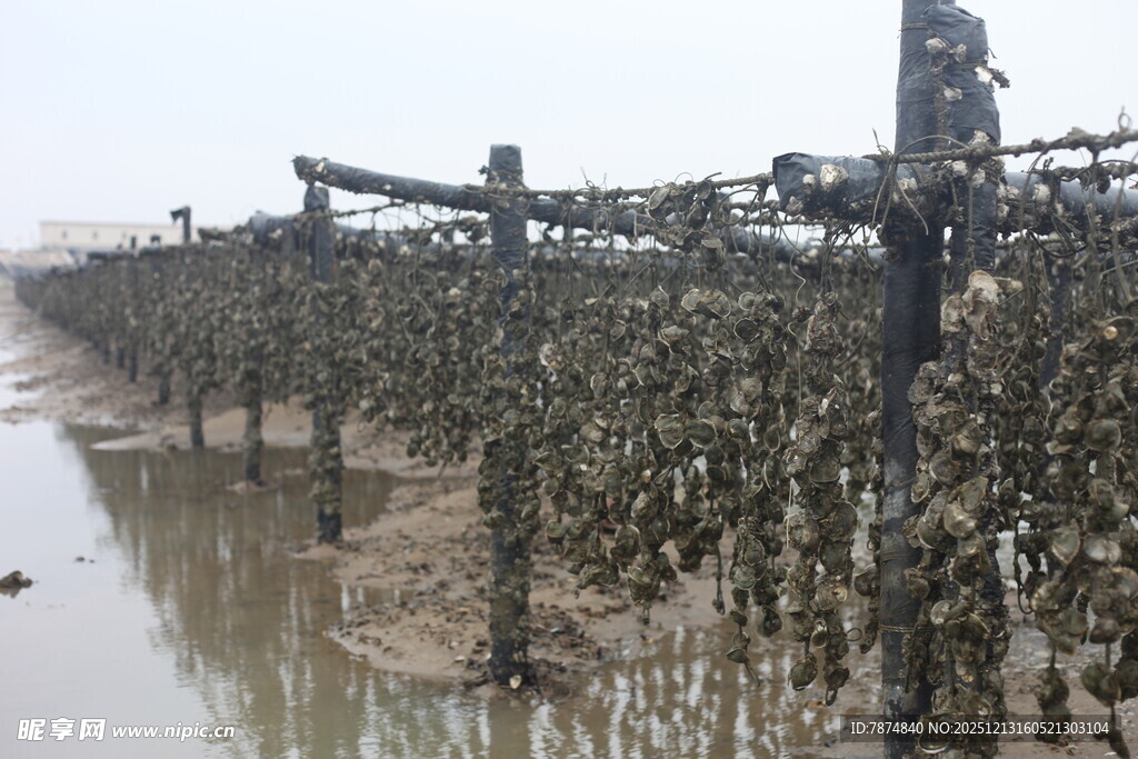 海上养殖场景