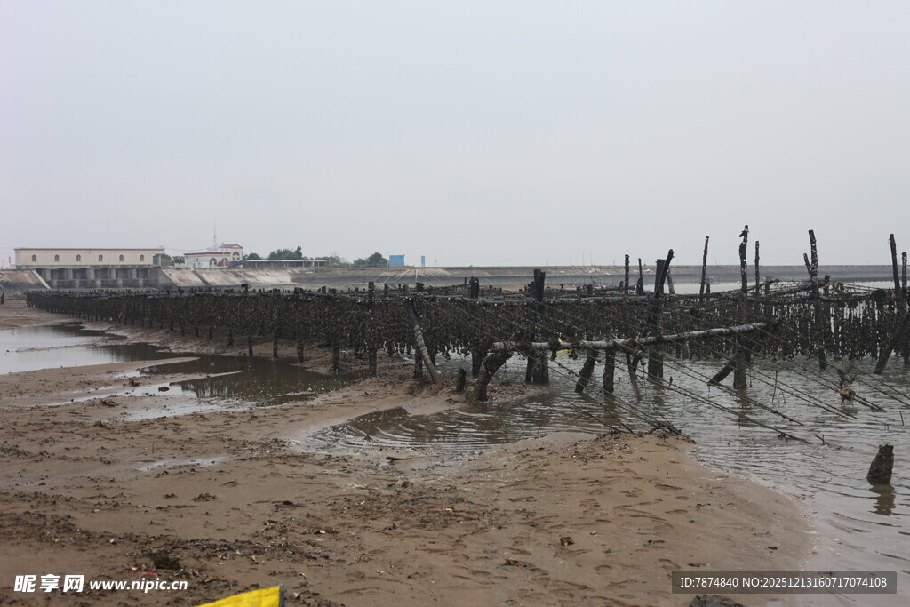 海边泥泞滩涂景象