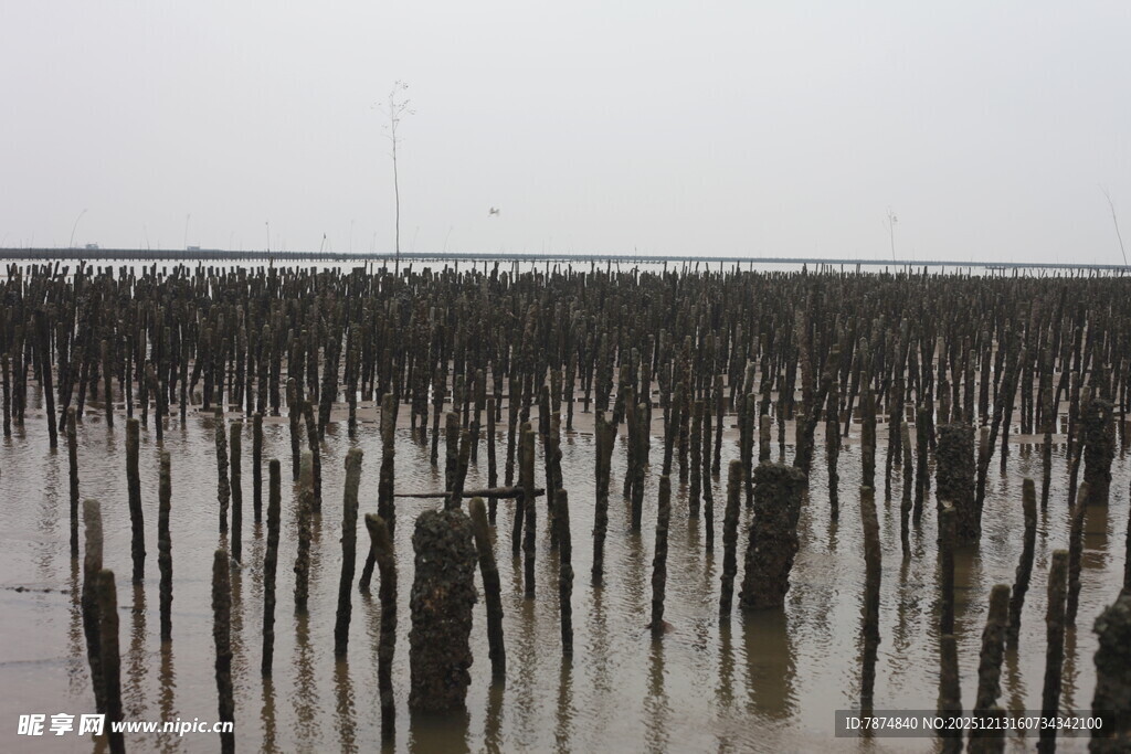 海上木桩景观