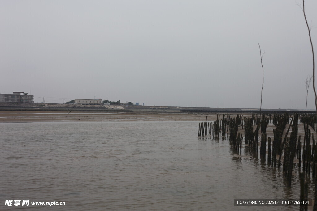 蚝场湛江风景