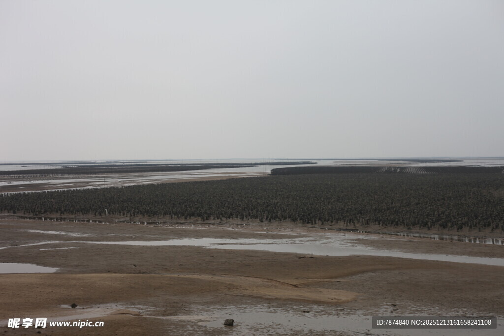 蚝场涂湿地景观
