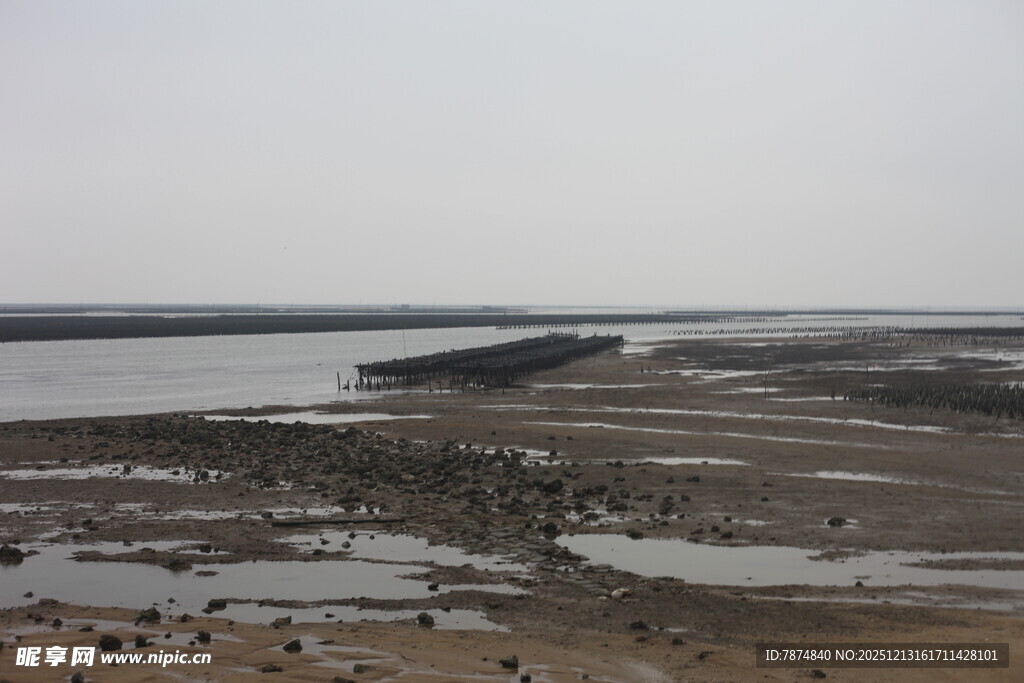 河岸滩涂景象