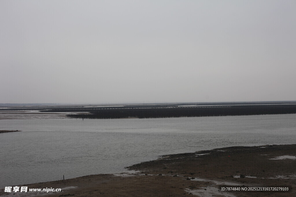 蚝场湛江风景