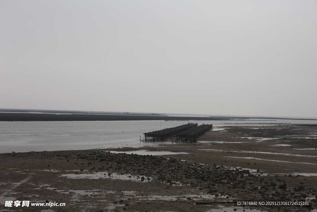 蚝场蚝排滩涂景象