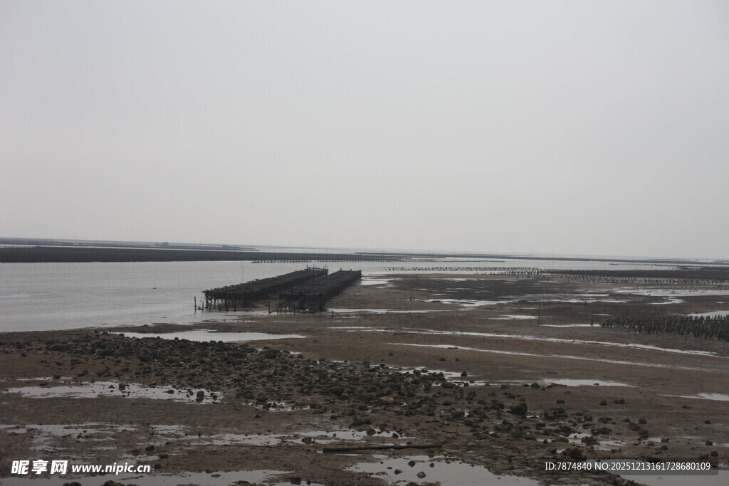 蚝场海边滩涂