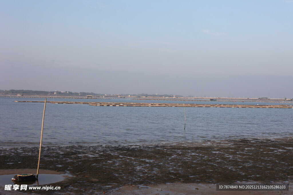 海边滩涂景象
