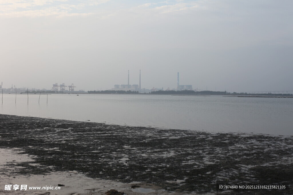 海边滩涂景色