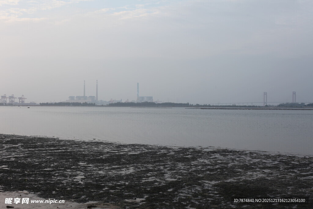 海边滩涂与远处风车景观
