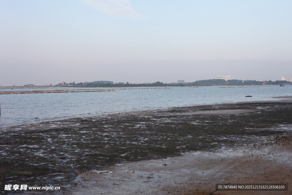 宁静水边滩涂景色