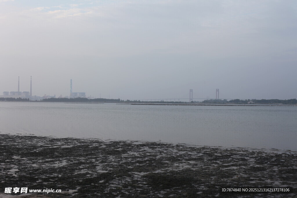 海边滩涂与远处建筑景观