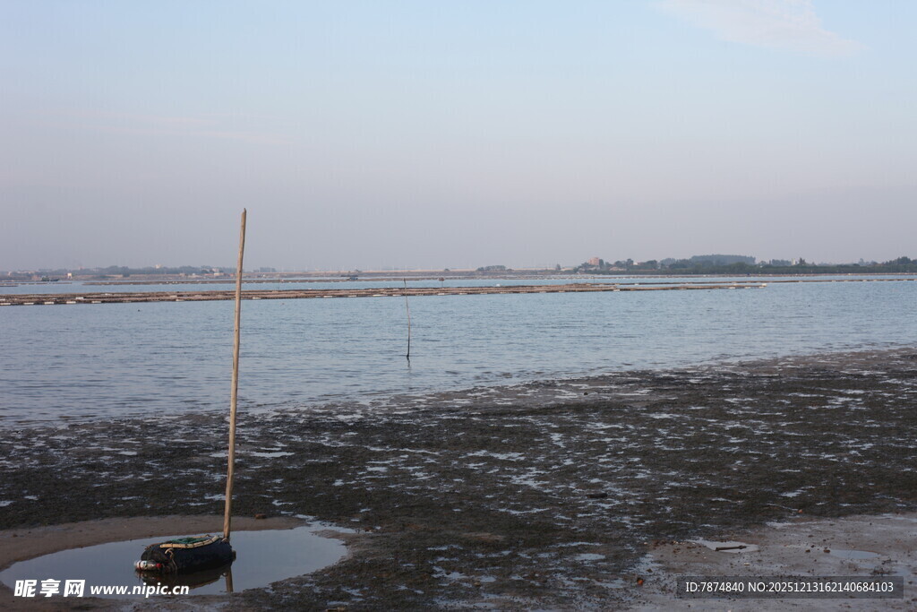 海边垂钓场景