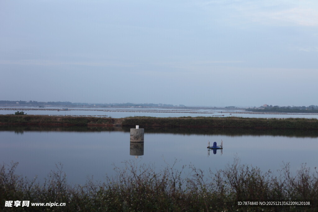 宁静湖面的水鸟与木桩