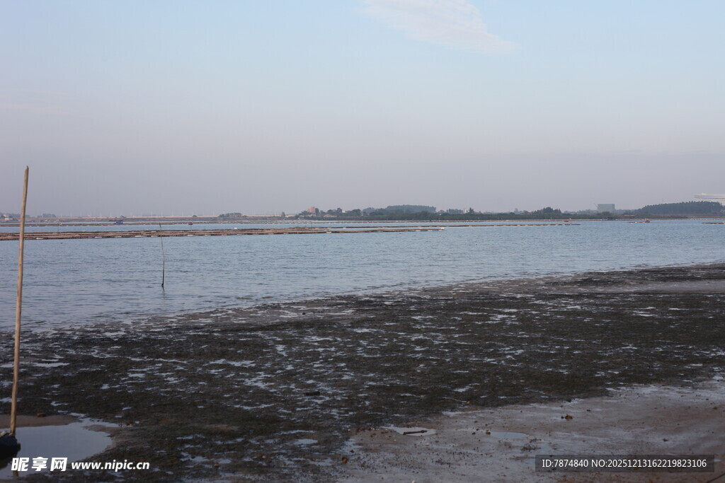 海边滩涂景色