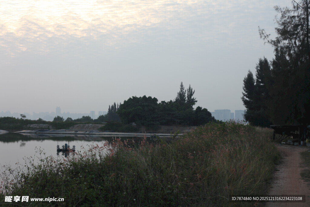 河畔小路的静谧黄昏景色