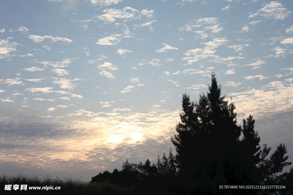 夕阳下的树木与天空美景