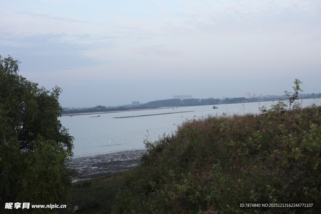 湖畔绿树环绕的宁静景致