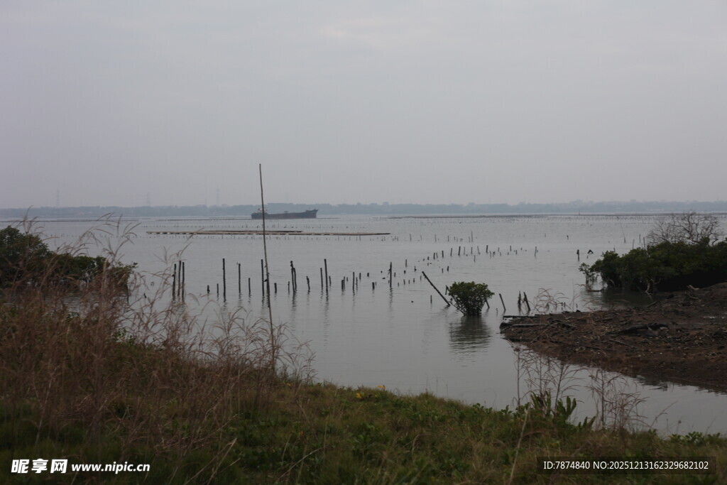 海边湿地景观