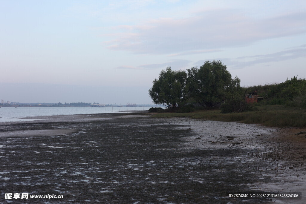 黄昏下的河岸湿地景观