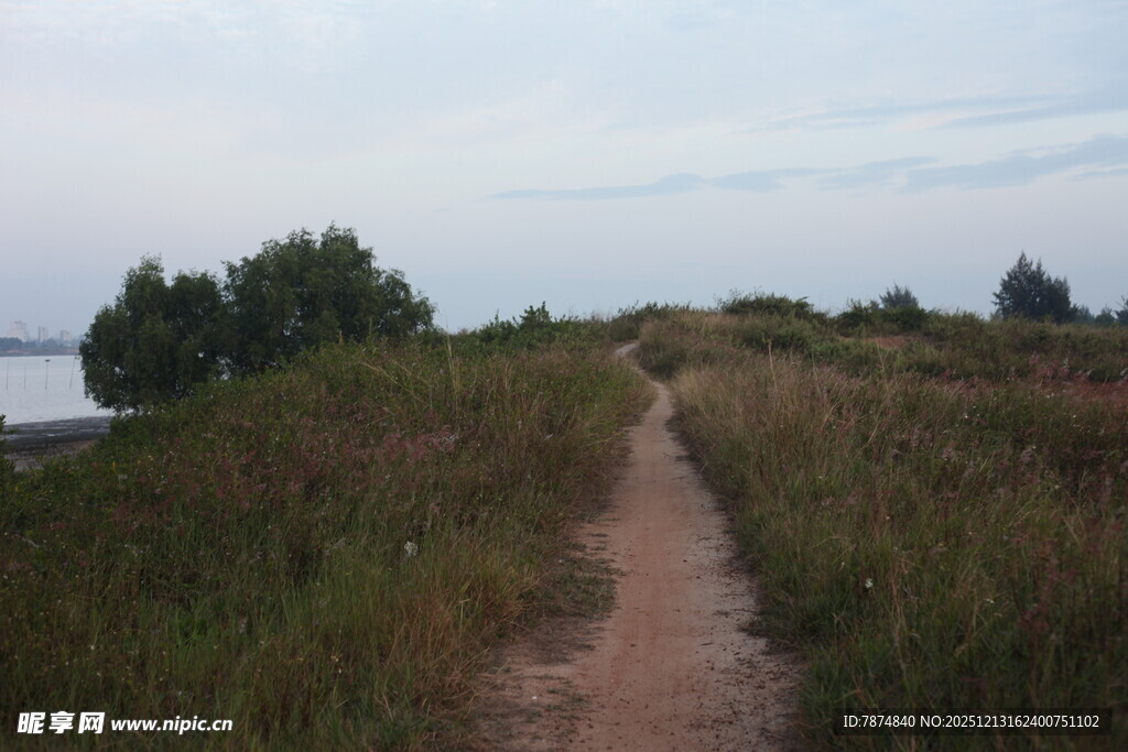 乡间小径悠享自然之美