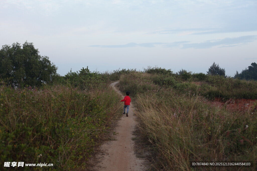 徒步者穿行于草木小径