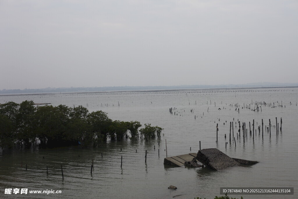 海边破旧木架与稀疏植被