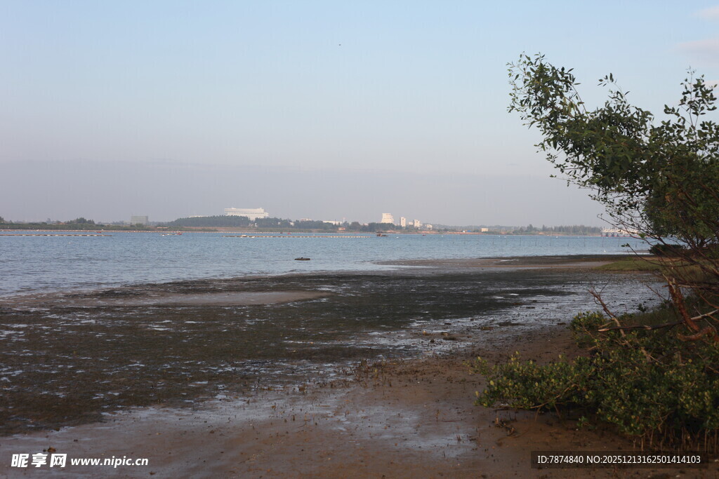 海滨湿地风光