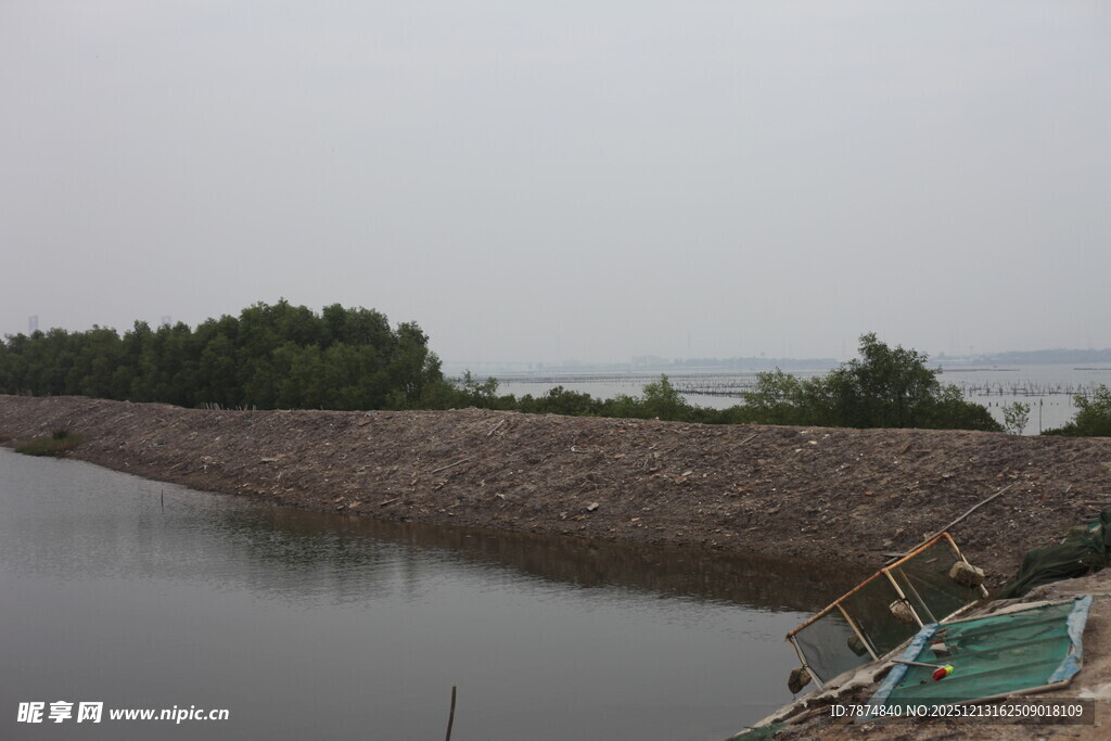 河边堤岸景象