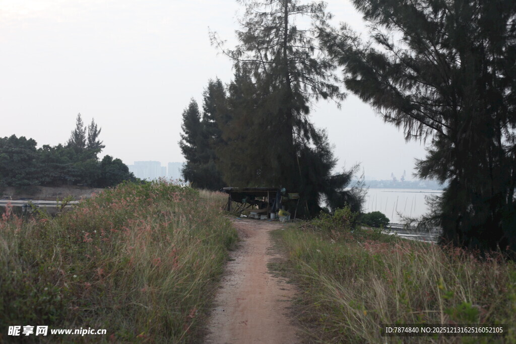 海边小径漫步自然之境