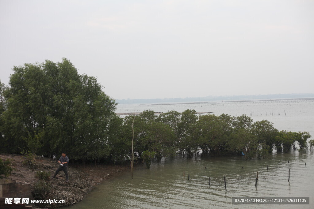 湖畔绿树环绕的宁静景致