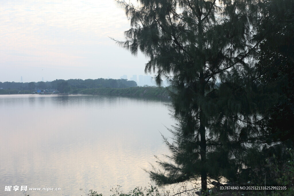 湖畔树木与宁静水面
