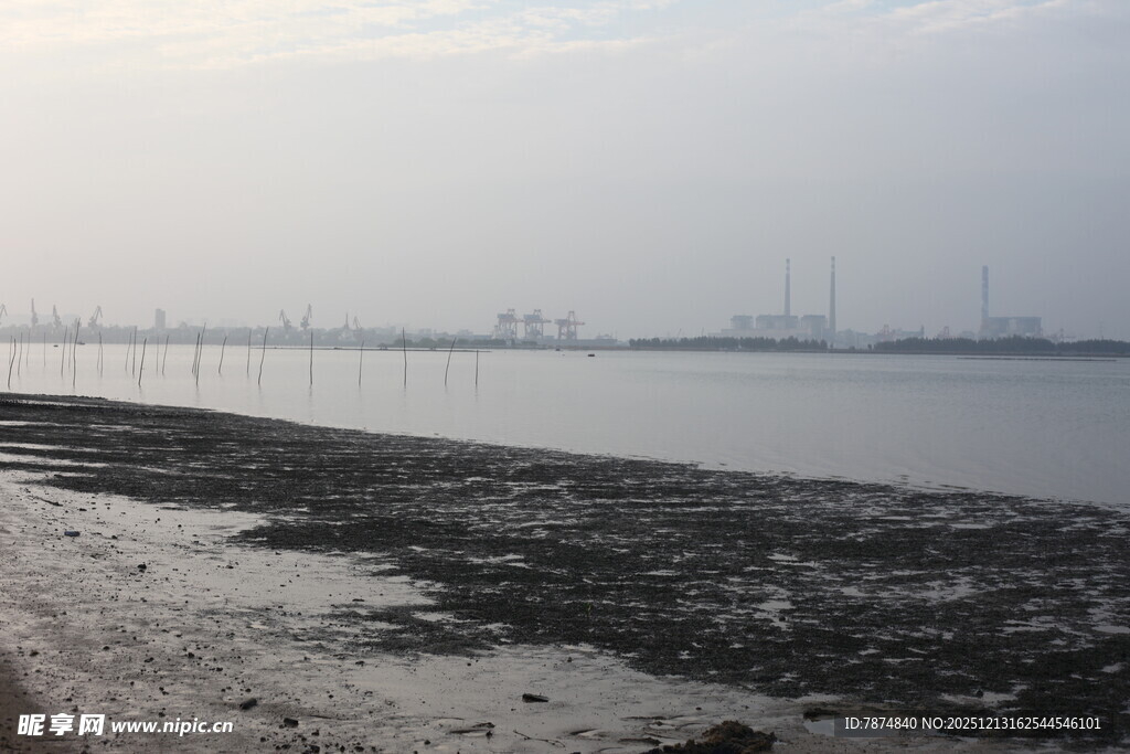 海边滩涂景象
