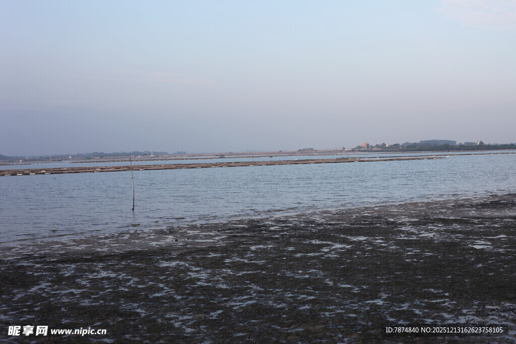 冬日湖边萧瑟景象