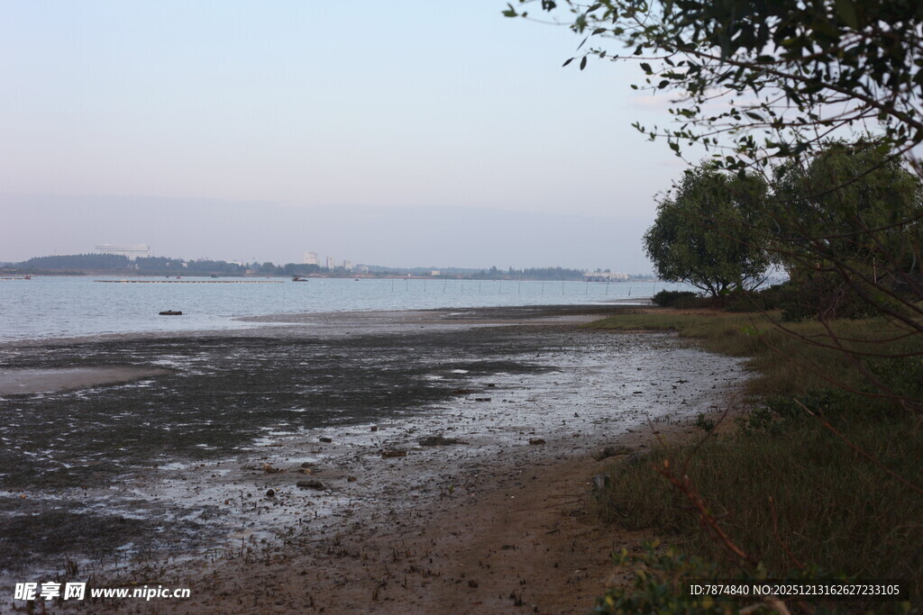 海边黄昏时的静谧河岸