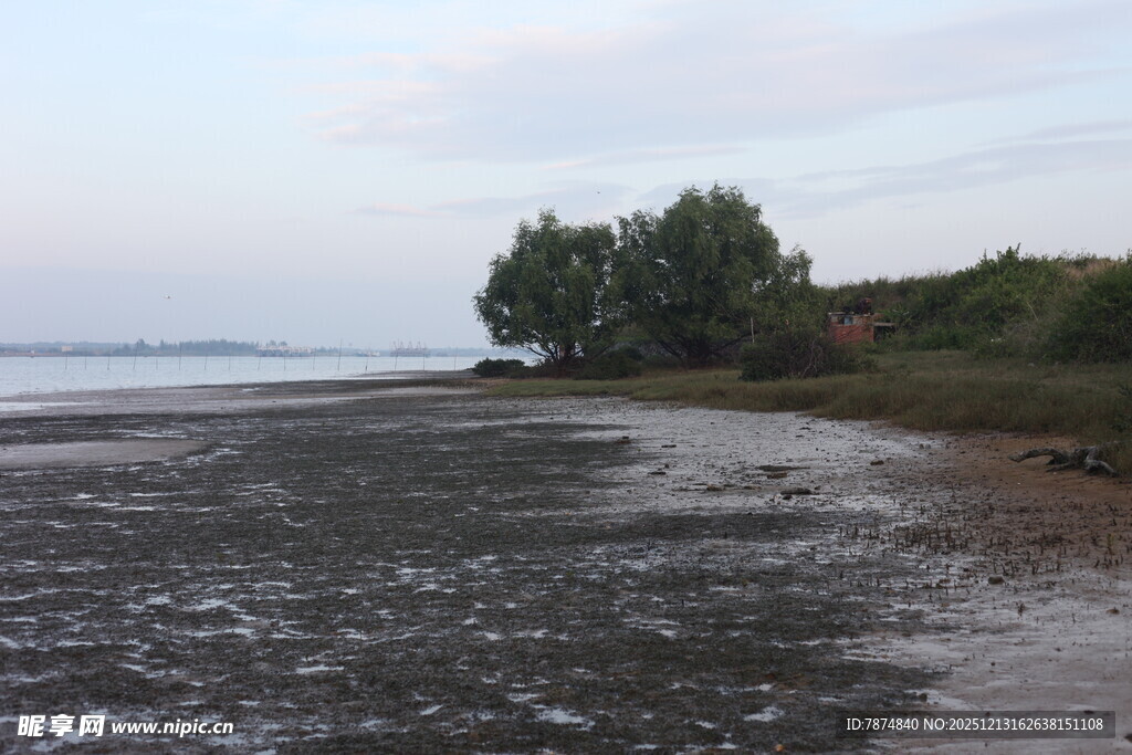 黄昏下的宁静河岸风光