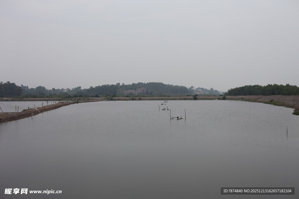 平静宽阔的水域景观