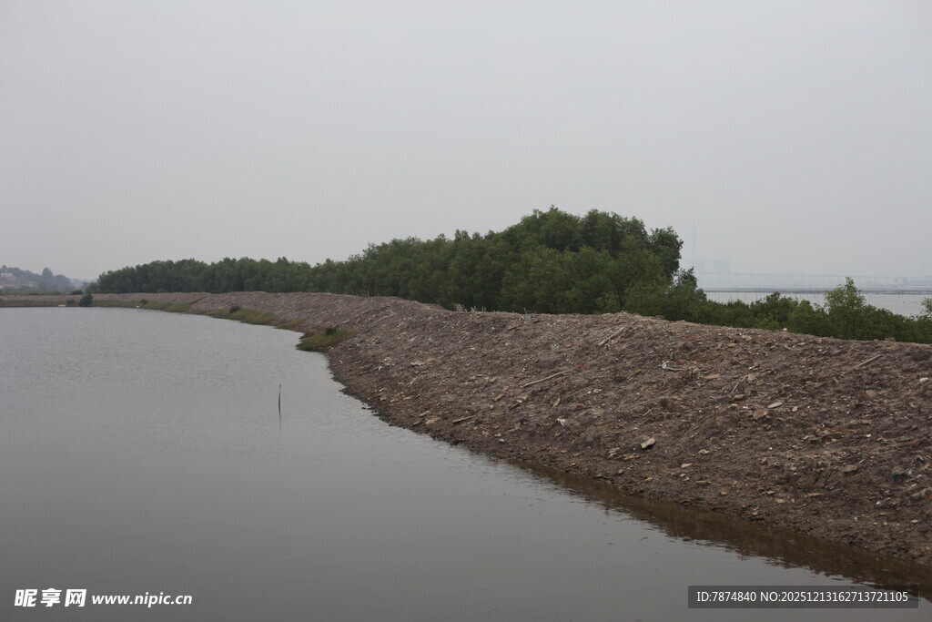 河岸风景岸边绿植与水域