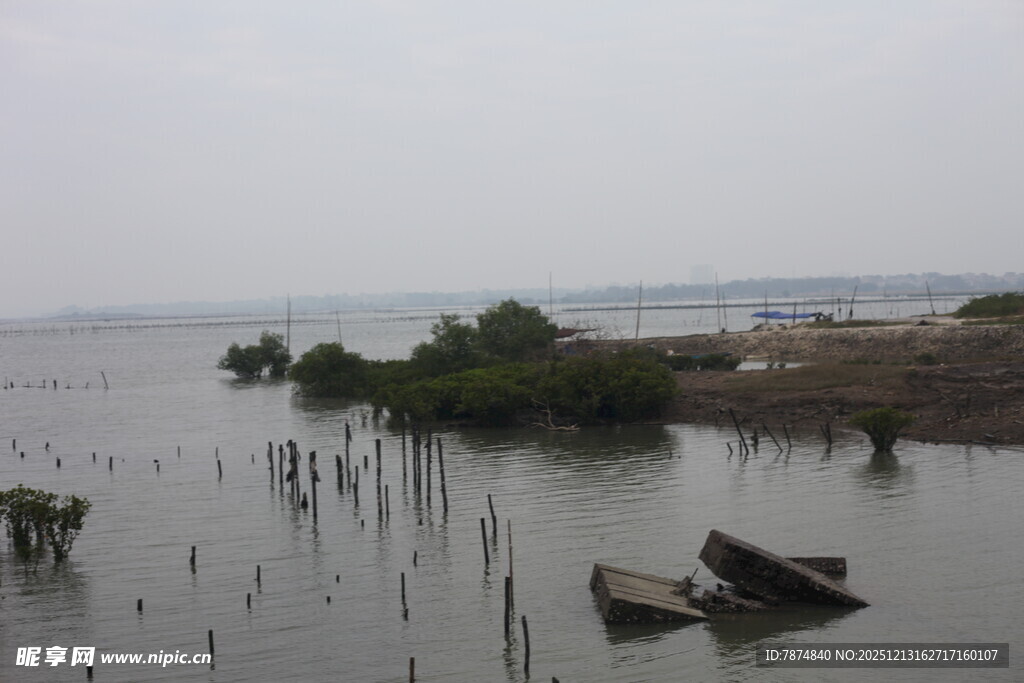 水乡湿地景象孤舟静泊